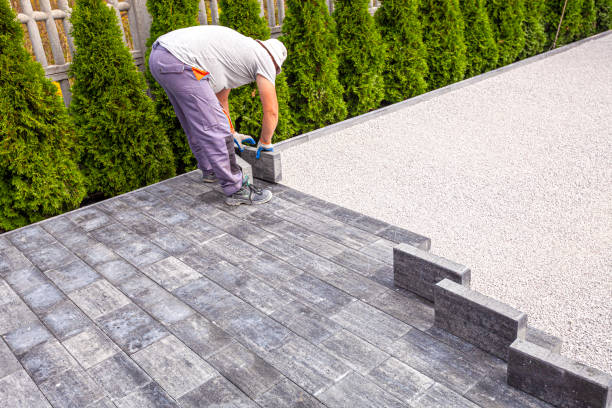 Best Residential Paver Driveway  in Cavalier, ND