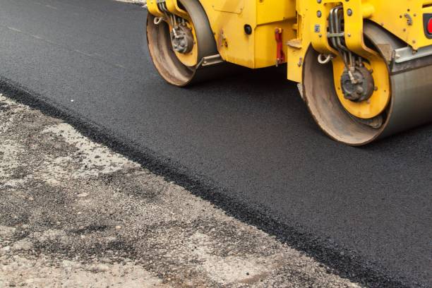 Best Driveway Paver Repair  in Cavalier, ND